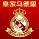 皇家马德里队徽 - 欧冠淘汰赛参赛球队